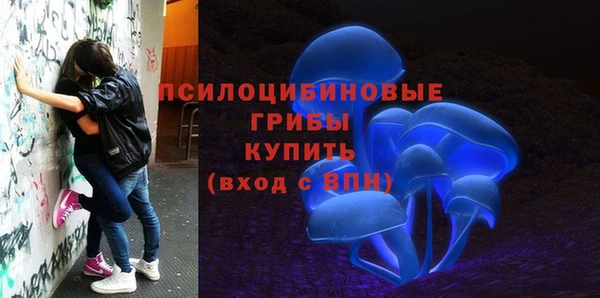 МДМА Белокуриха