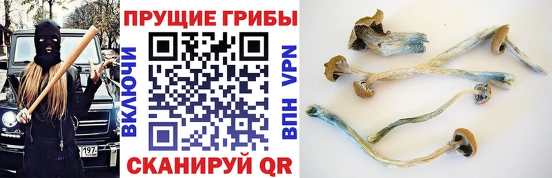 Псилоцибиновые грибы ЛСД  Кореновск 